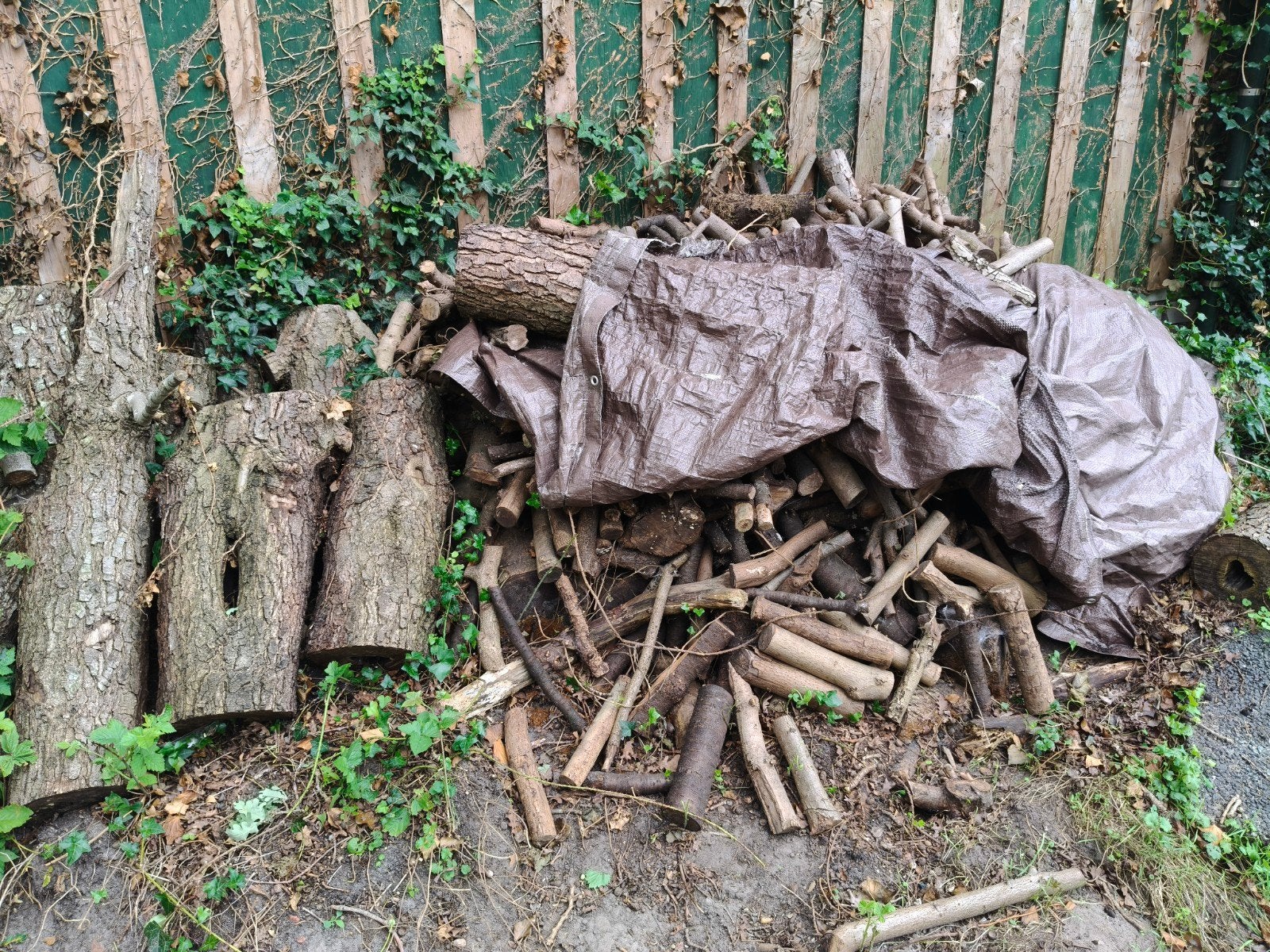 Oud haardhout, diverse soorten, gratis af te halen, Minder dan 3 m³, Ophalen, Overige houtsoorten, Blokken