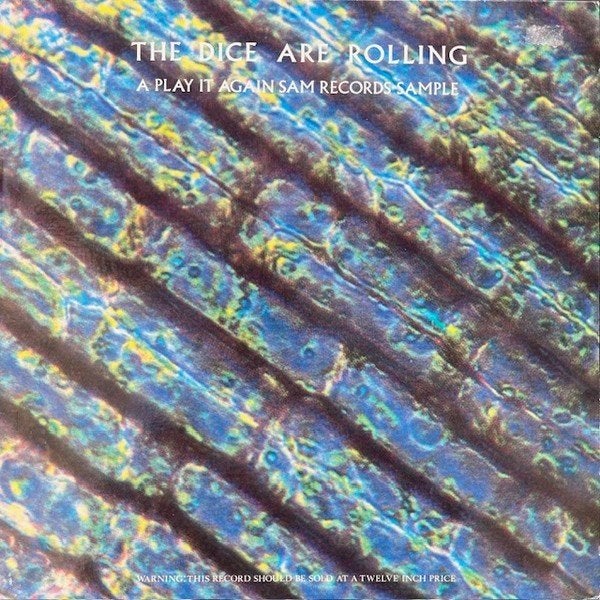 the dice are rolling-a play it again sam records sample/v/a, LP, Gebruikt, Verzenden, Electronic Rock