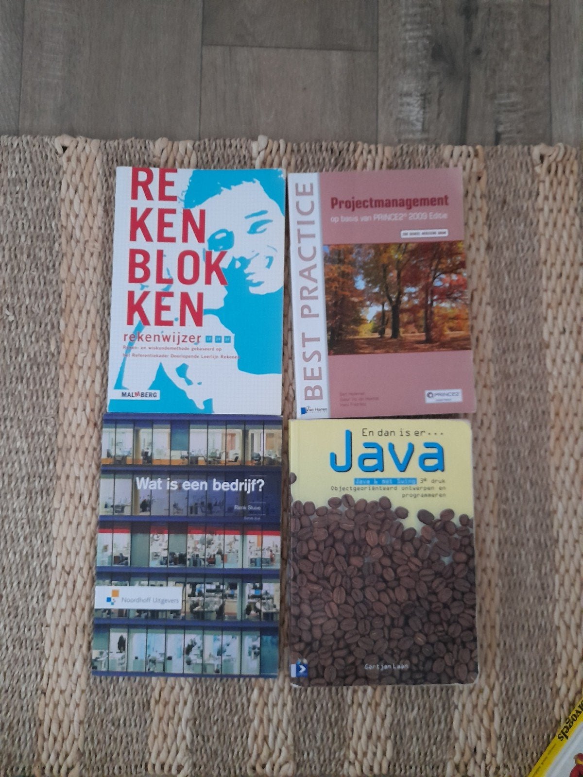 Div informatica leerboeken pakket, Boeken, Informatica en Computer, Ophalen of Verzenden, Zo goed als nieuw, Overige onderwerpen
