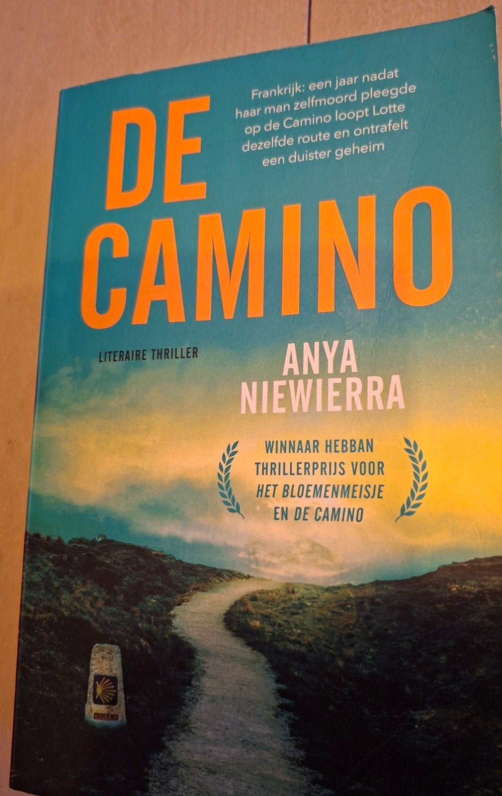 De Camino - Anya Niewierra (Literaire thriller), Boeken, Thrillers, Ophalen of Verzenden, Zo goed als nieuw, Anya Niewierra, Nederland