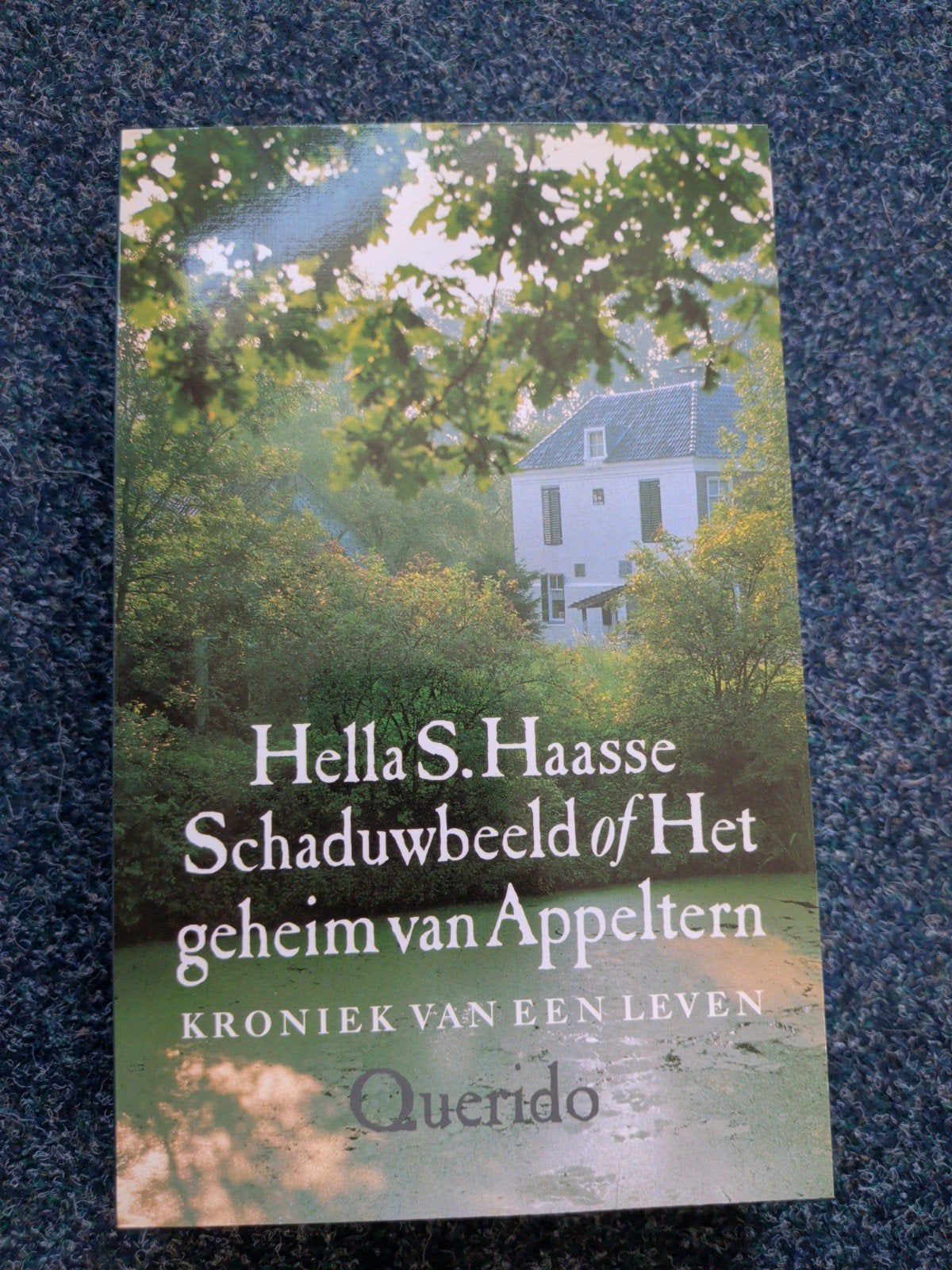 Schattenbeeld of Het geheim van Appeltern - Hella S. Haasse, Ophalen of Verzenden