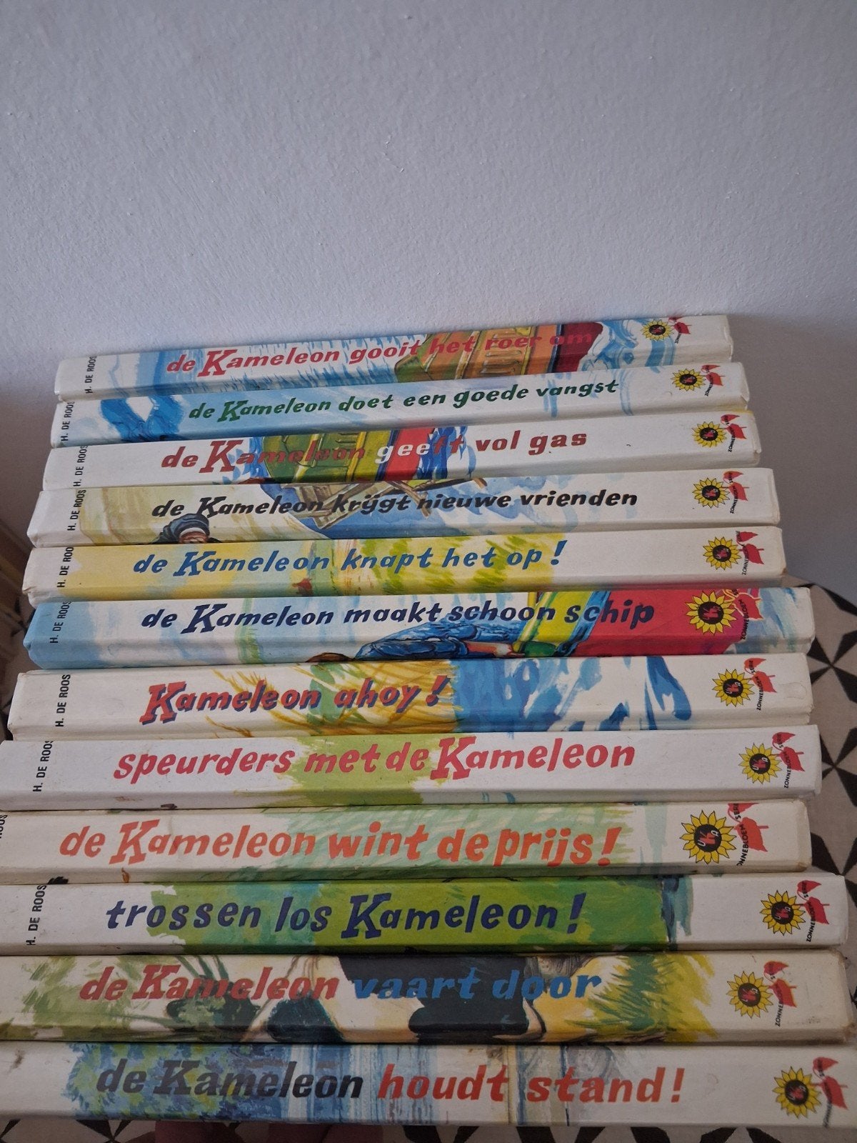 Grote collectie Kameleon boeken (40stuks), Boeken, Ophalen, Gelezen, H. de Roos, Fictie algemeen
