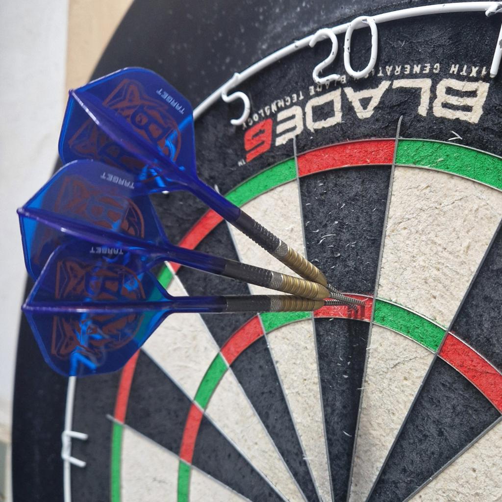 Raymond van barneveld GEN6 21g, Ophalen of Verzenden, Zo goed als nieuw, Pijlen