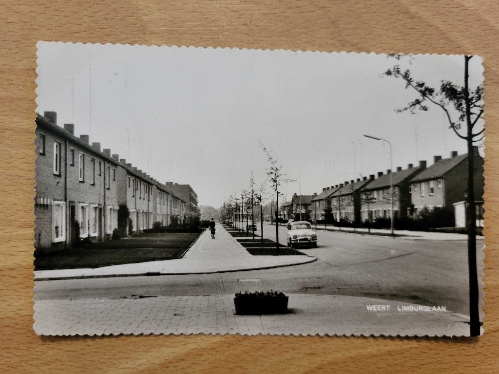 ansicht WEERT Limburglaan, Verzamelen, Ansichtkaarten | Nederland, Ophalen, Voor 1920, Limburg