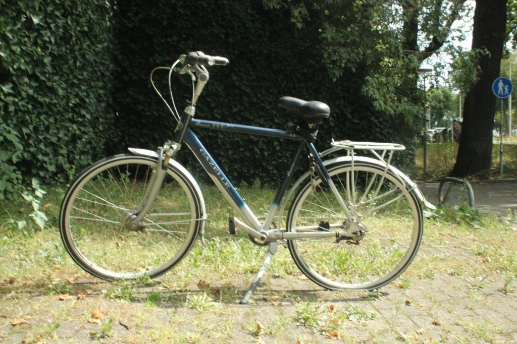 Gazelle Davos Xtra Special Twintube Damesfiets, Ophalen, Gebruikt, Velgrem, Versnellingen