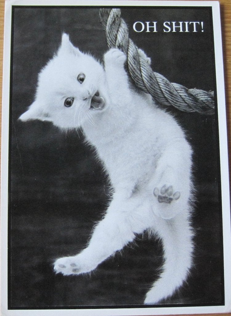 Poes hangt aan touw op ansichtkaart - 1991, Ophalen of Verzenden, 1980 tot heden, Gelopen, Hond of Kat