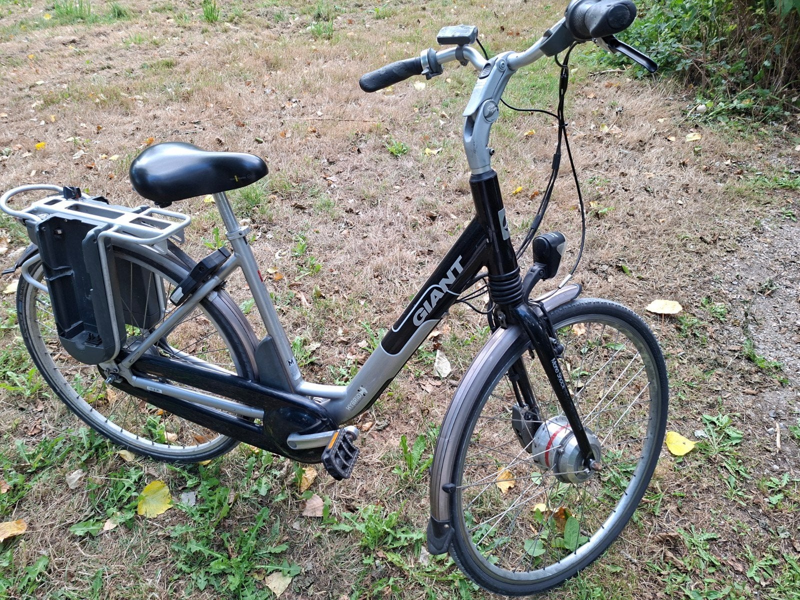Giant Twist, Ophalen of Verzenden, Gebruikt, Minder dan 30 km per accu, Overige merken
