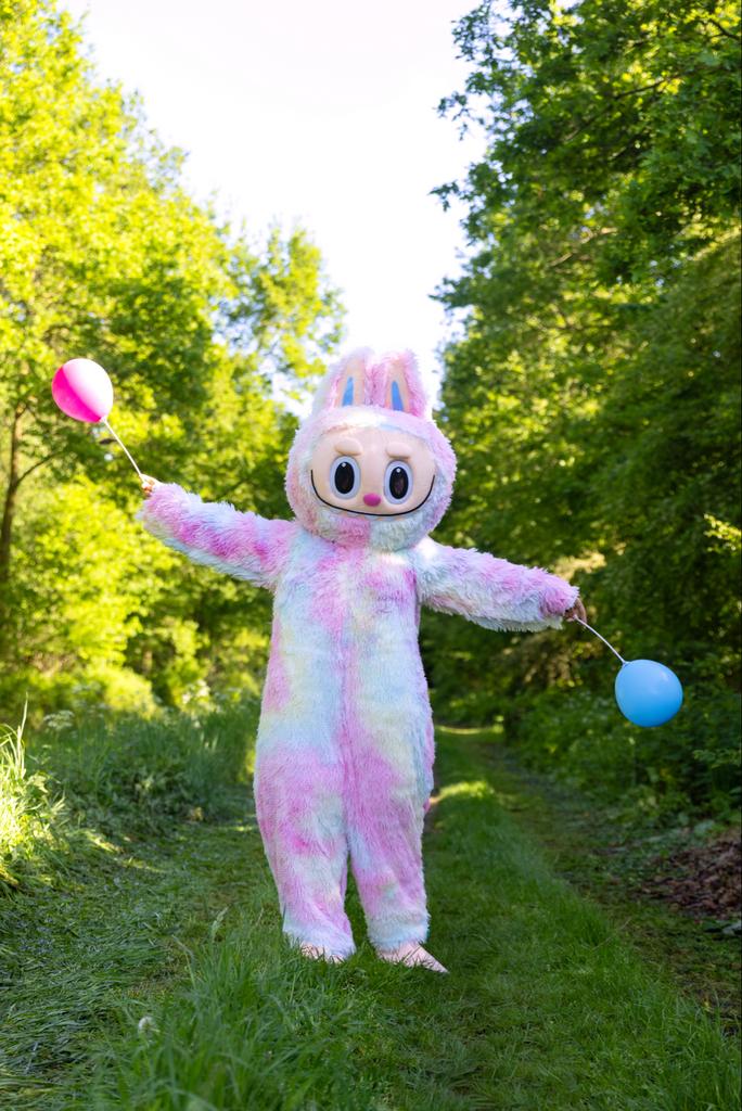 Labubu Mascotte Te Huur - Perfect voor Feestjes!, Ophalen of Verzenden, Zo goed als nieuw, Verjaardag