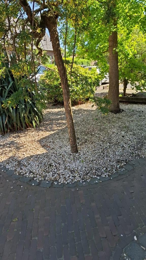Gratis Witte siergrind voor tuin of oprit, Ophalen, Gebruikt, Wit, Grind