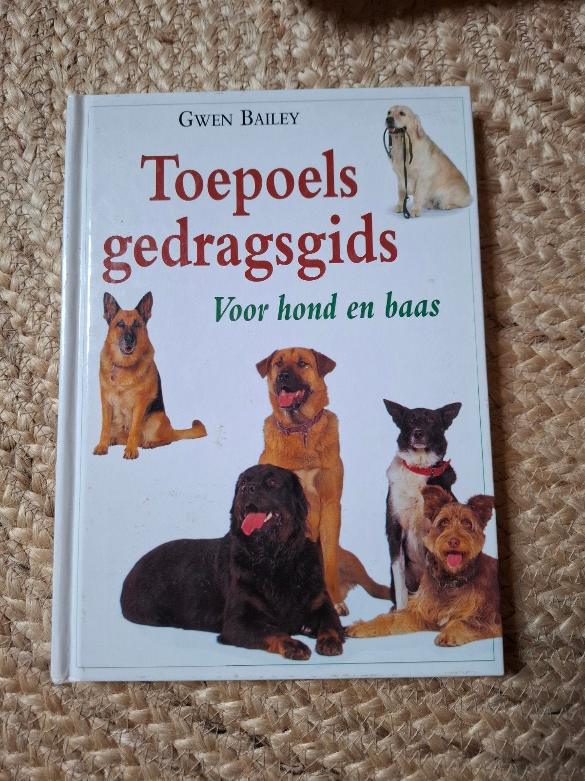 Toepoels gedragsgids voor hond en baas - Gwen Bailey, Boeken, Ophalen of Verzenden, Gelezen, Honden, Gwen Bailey