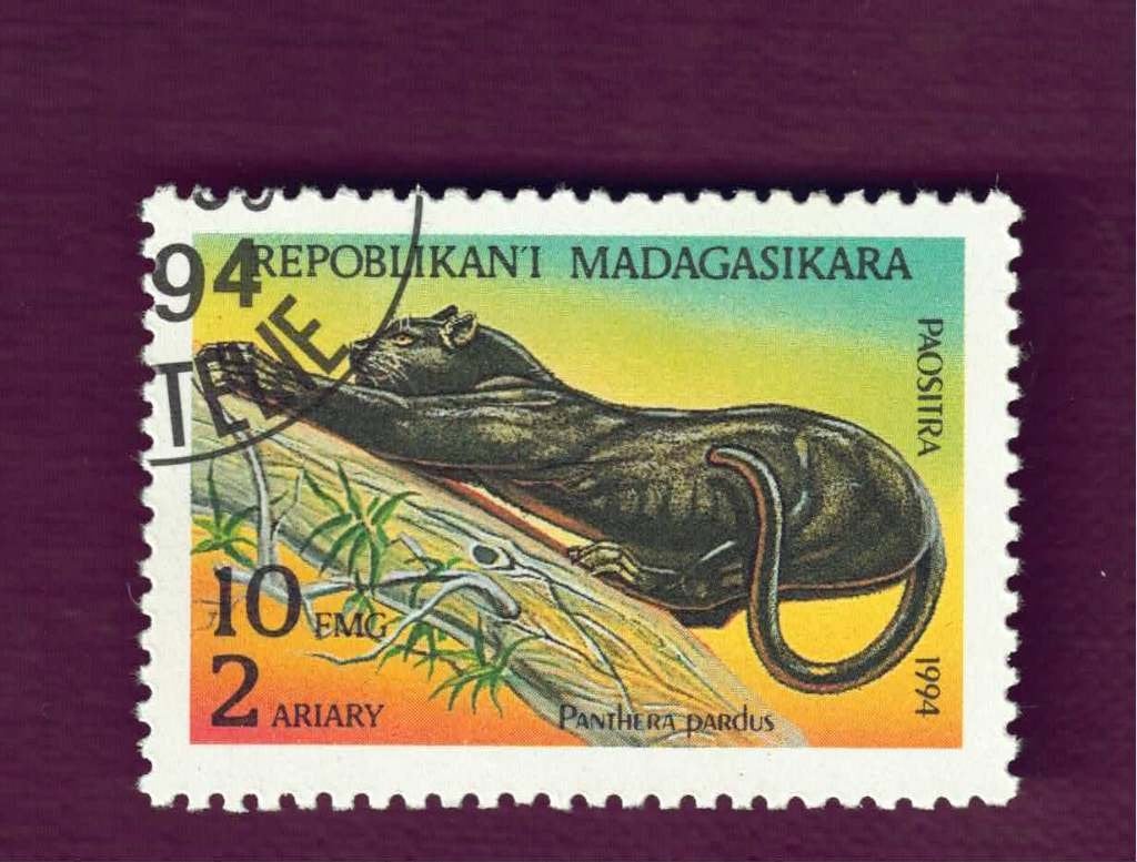 Katachtigen - Madagasikara - 1701 - Zwarte Panter - gebr, Ophalen of Verzenden, Gestempeld, Dier of Natuur