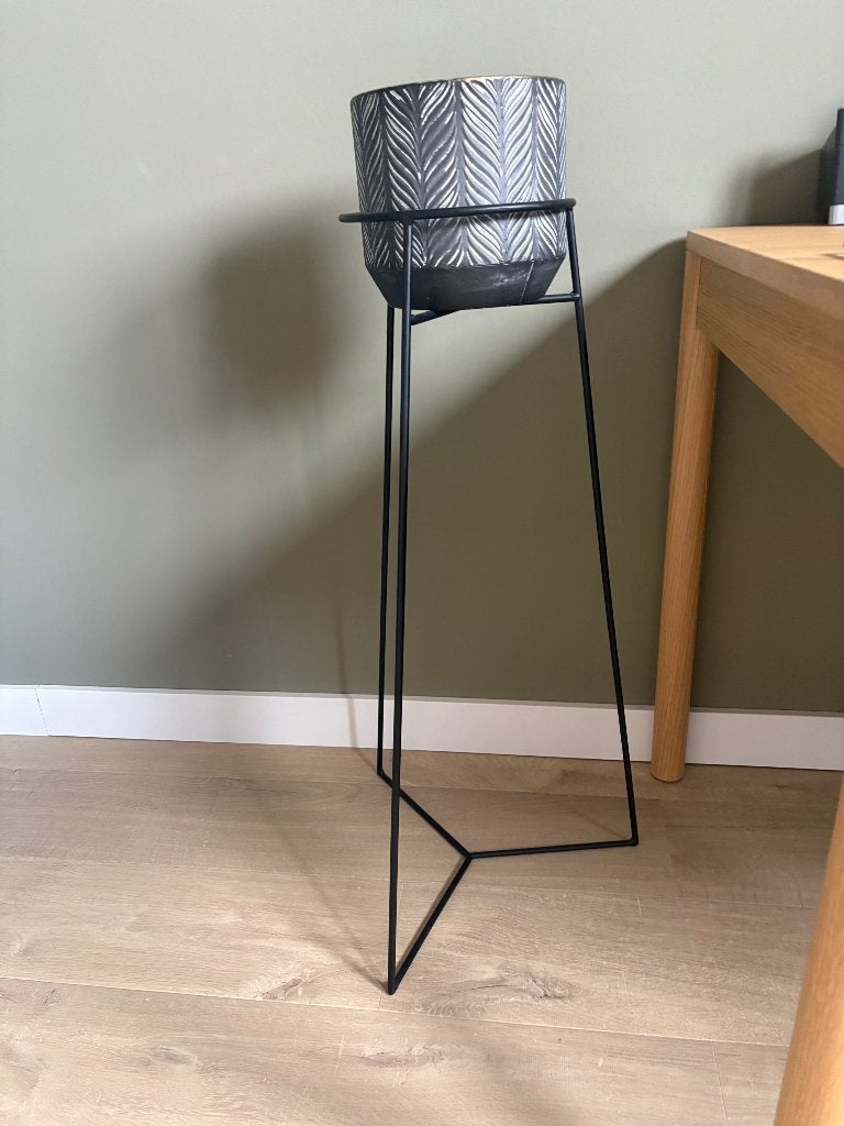 Standaard plant gratis afhalen Spijkenisse, Tuin en Terras, Ophalen, Minder dan 30 cm, Rond, Zo goed als nieuw