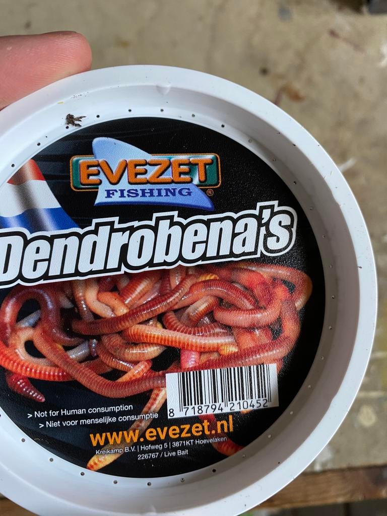 NIEUW Evezet bakje wormen klein, Overige typen, Nieuw, S, H
