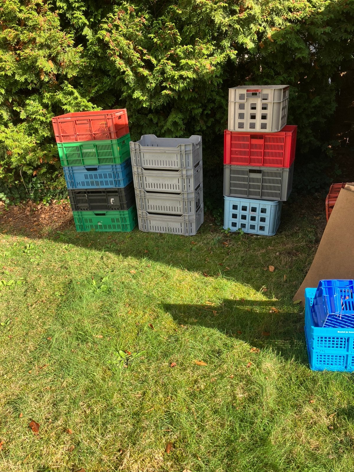Alles in 1 koop, Ophalen, 40 tot 60 cm, 50 tot 75 cm, Minder dan 35 cm