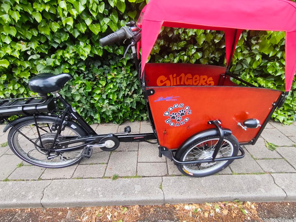 t.mannetje  elektrische bakfiets dog sterk hondenbakfiets, Ophalen, 4 kinderen of meer, Elektrisch
