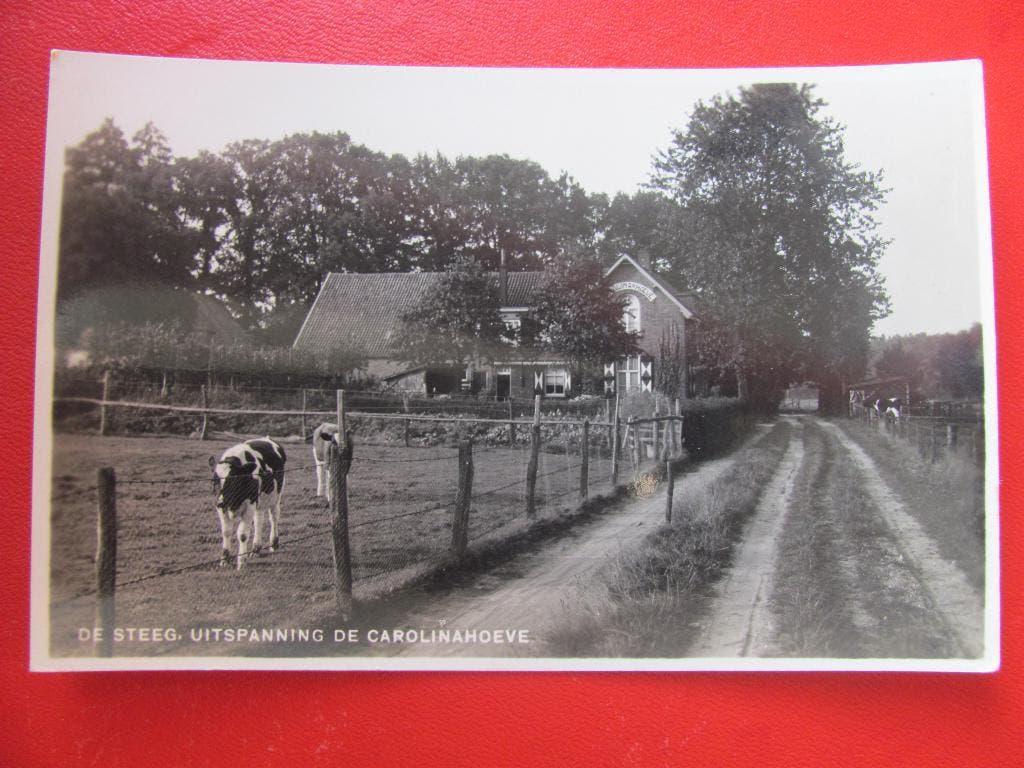 De Steeg, Carolinahoeve, Ophalen of Verzenden, 1920 tot 1940, Gelderland