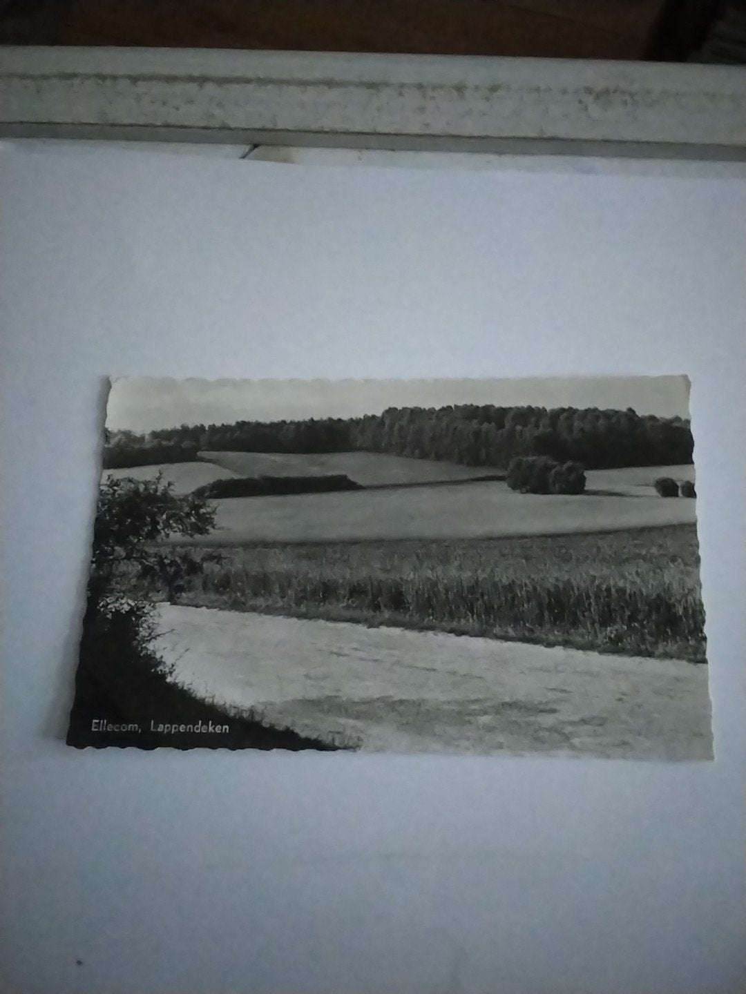 Oude ansichtkaart Ellecom, Lappendeken - Gelderland, Ophalen of Verzenden, Voor 1920, Gelderland