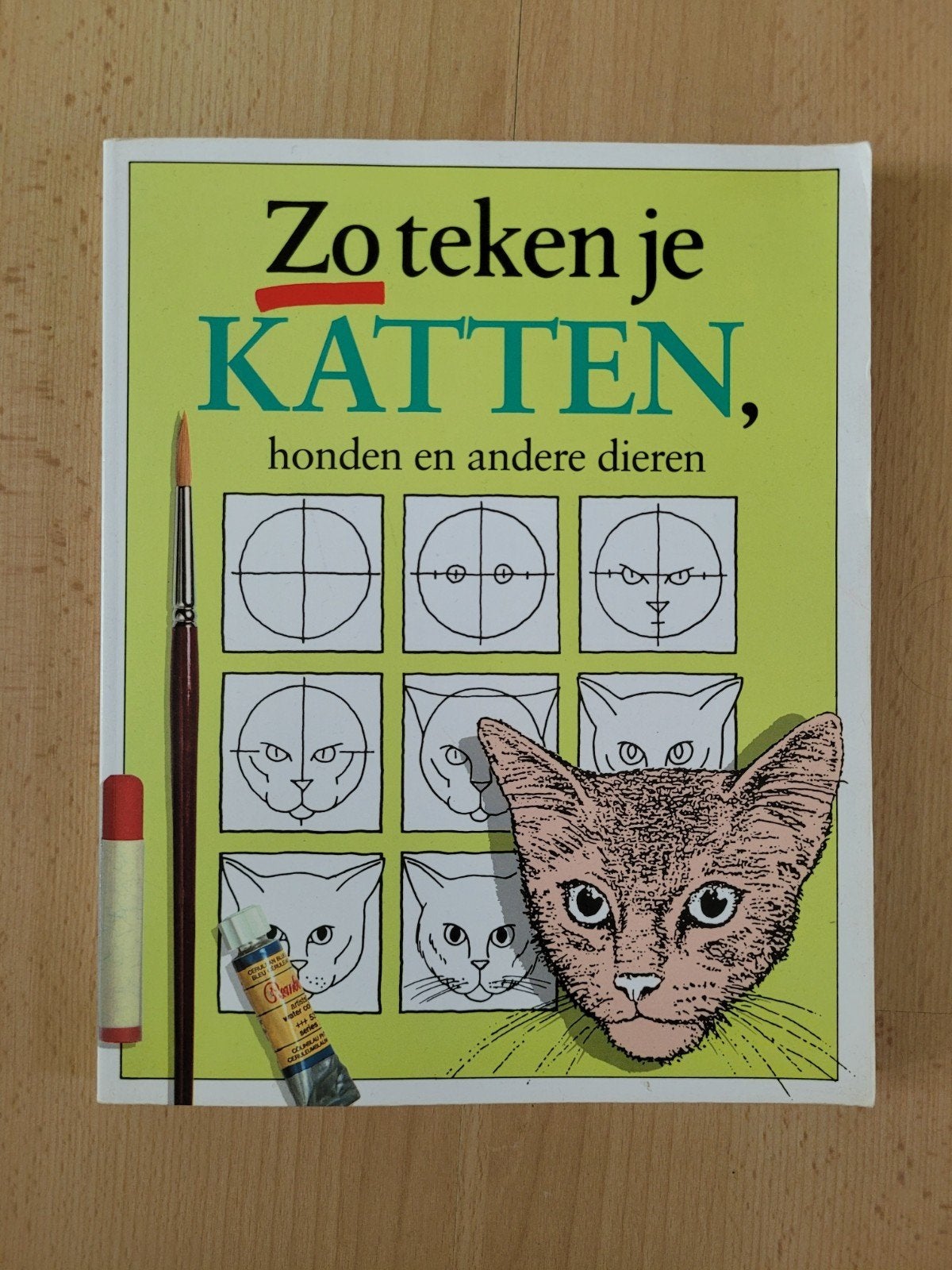 Hobbyboek Zo teken je katten, honden en andere dieren, Ophalen of Verzenden, Gelezen, Tekenen en Schilderen, Geschikt voor kinderen