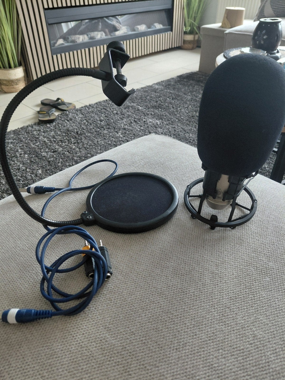 Studiomicrofoon met popfilter en microfoonstandaard, Ophalen of Verzenden, Gebruikt, Studiomicrofoon
