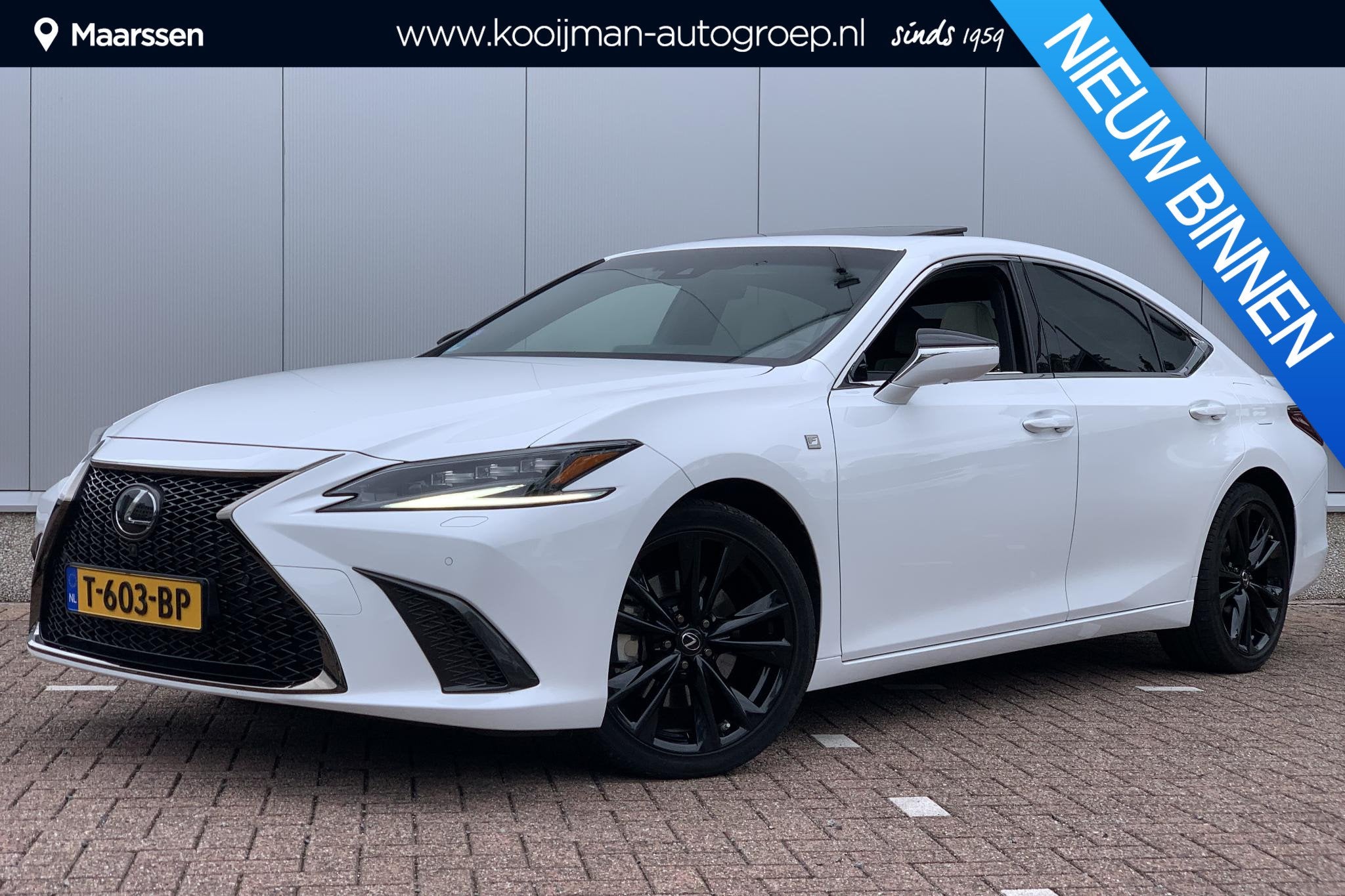 Lexus ES 300h F Sport Line / Schuif- Kanteldak / Elektrische, Auto's, Lexus, Gebruikt, Euro 6, 4 cilinders, 2487 cc