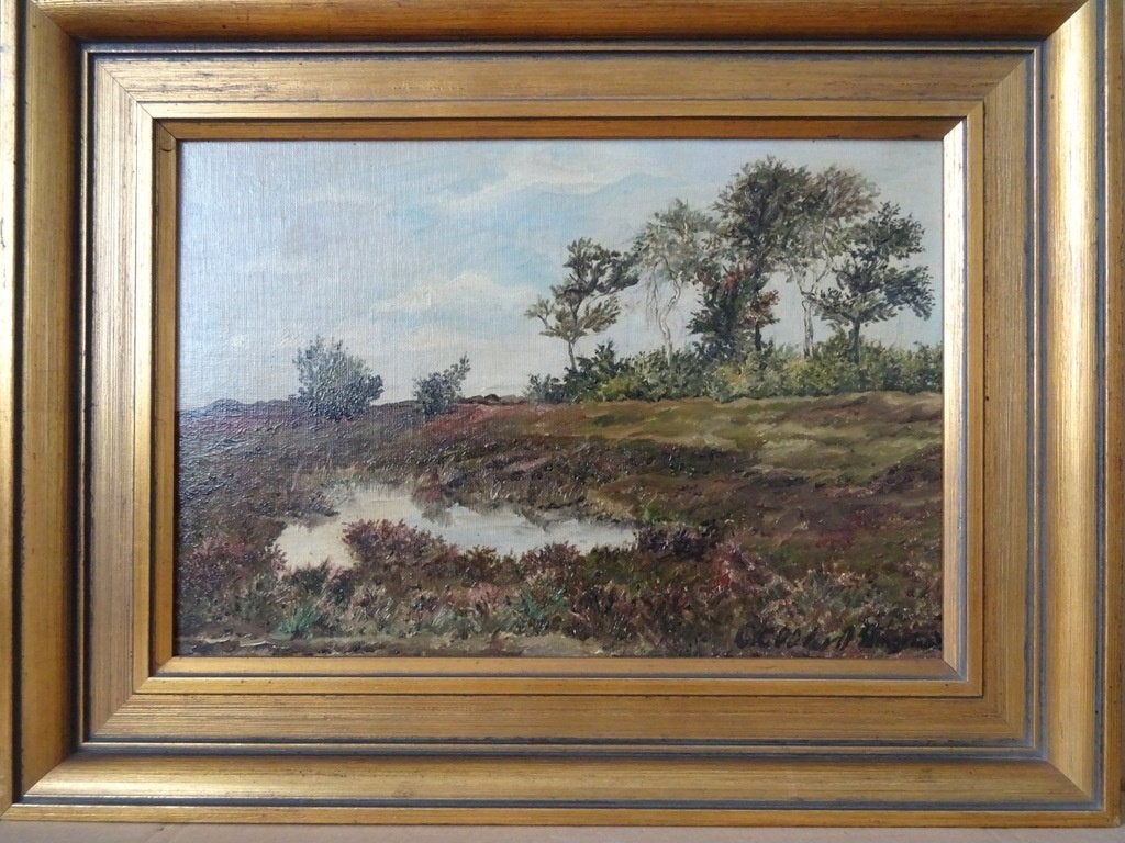 Schilderij C.J.G. Cool-Van Oosten Slingeland Heide bij Rolde, Paneel, Realistisch, Ophalen of Verzenden, Olieverf