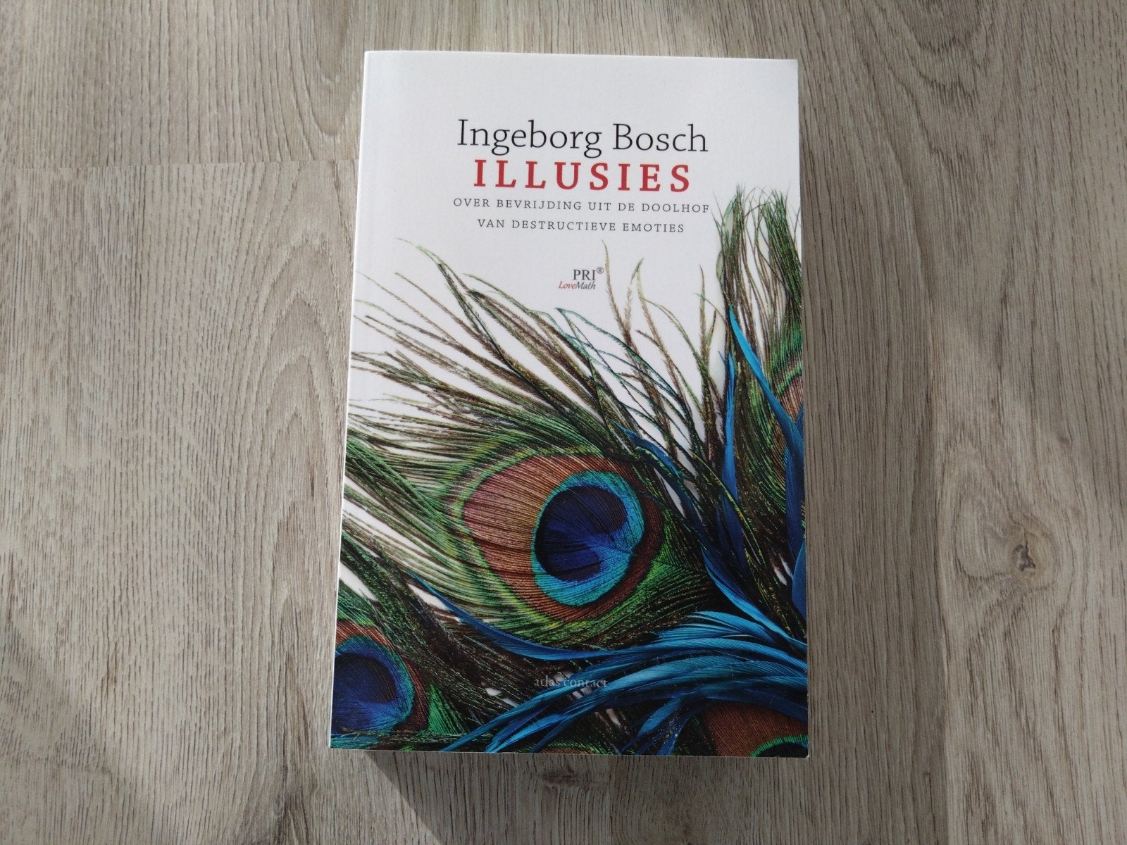 Ingeborg Bosch - Illusies: Over bevrijding uit de doolhoop, Ophalen of Verzenden, Zo goed als nieuw, Ingeborg Bosch