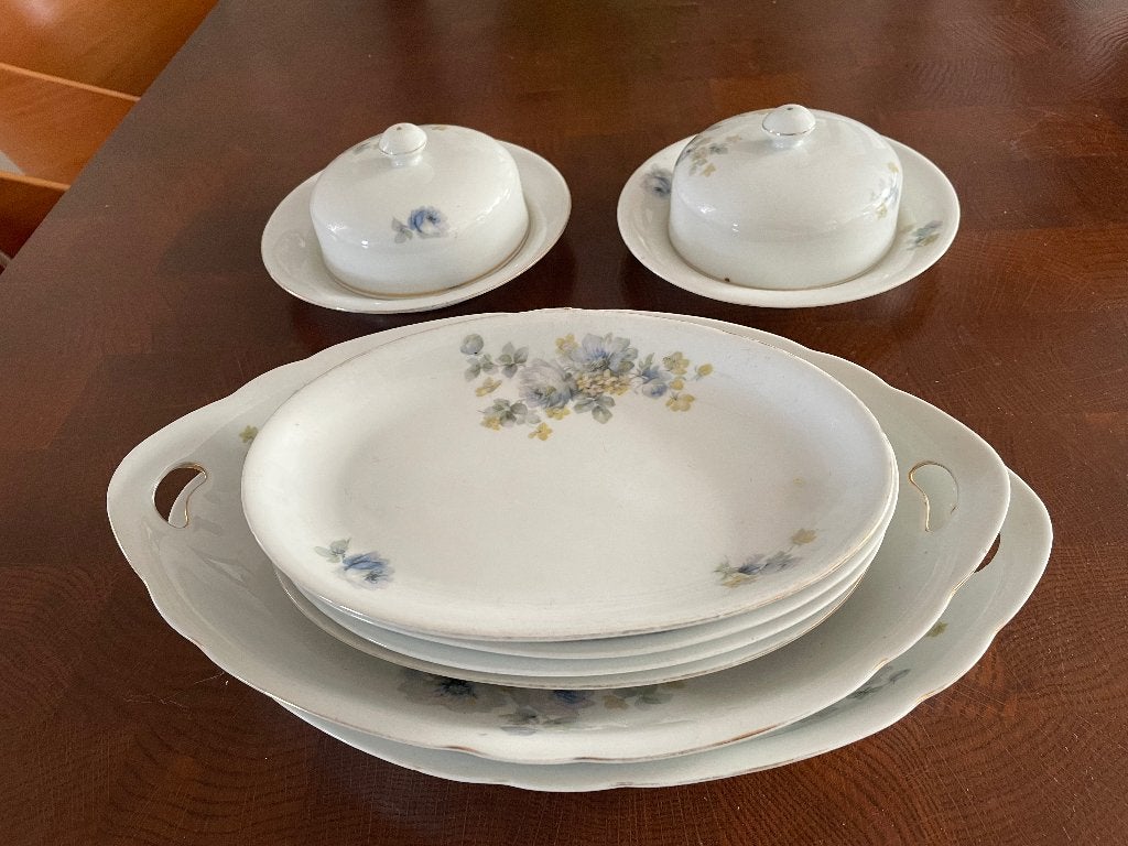 Victoria Czechoslovakia servies 6 schalen en 2 botervloten, Ophalen of Verzenden