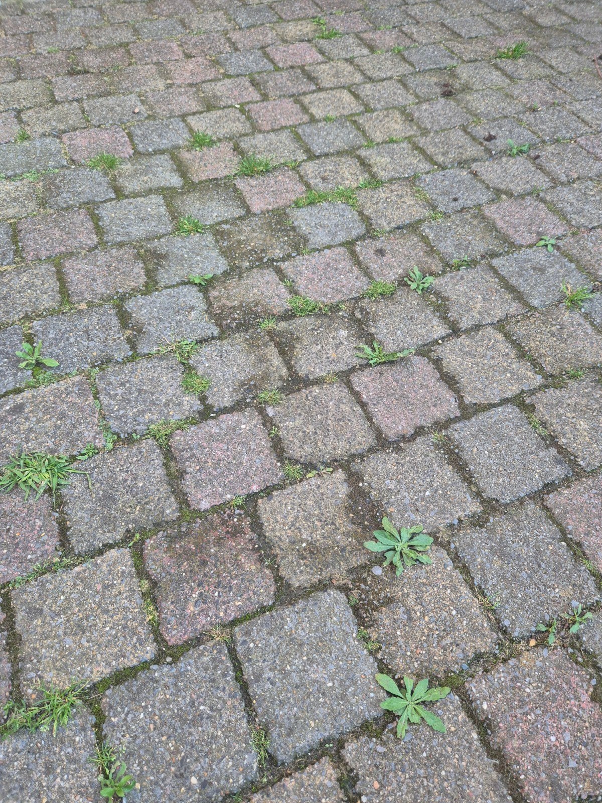 Gratis klinkers ophalen, zelf verwijderen (ca. 22 m³), Tuin en Terras, Tegels en Klinkers, Ophalen