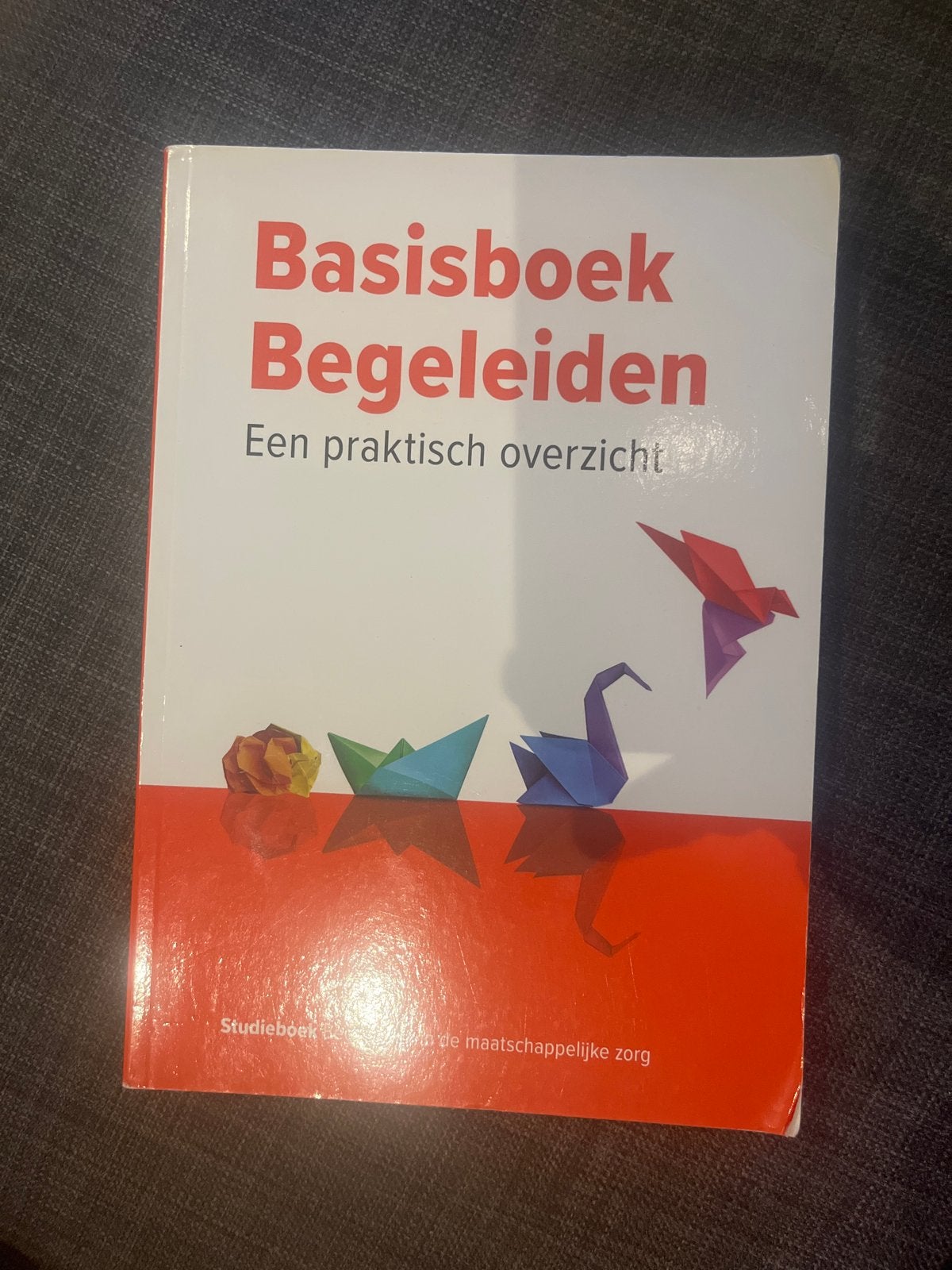 Basisboek Begeleiden: Een praktisch overzicht, Boeken, Ophalen of Verzenden, Gamma, Zo goed als nieuw, HBO