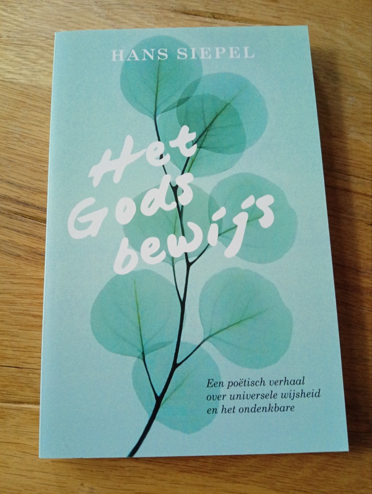 Het Gods Bewijs - Hans Siepel (Zo goed als nieuw), Ophalen of Verzenden, Zo goed als nieuw, Hans Siepel, Spiritualiteit algemeen