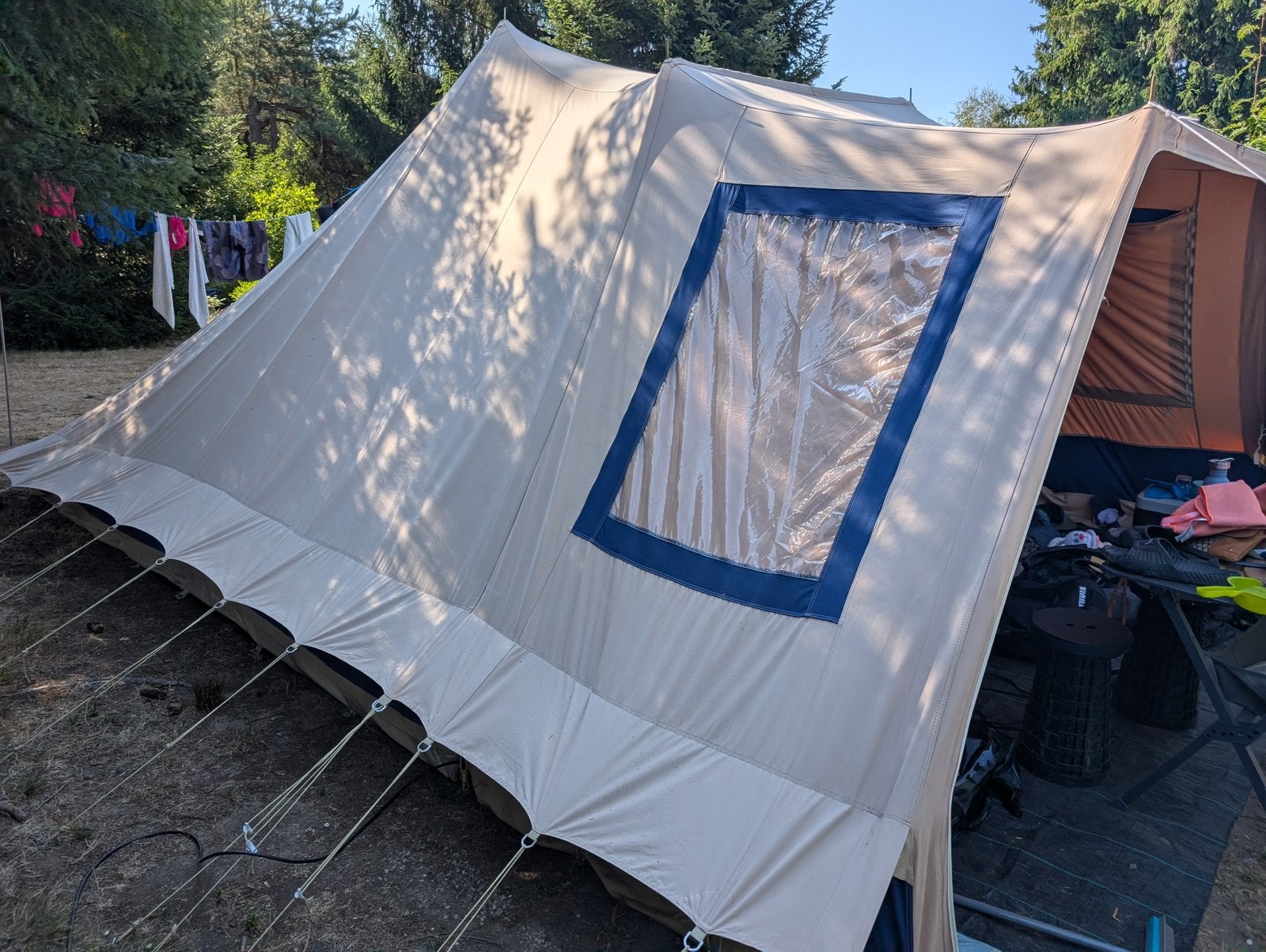 Vrijbuiter stormvogel (6), Ophalen, Gebruikt, Tot en met 6