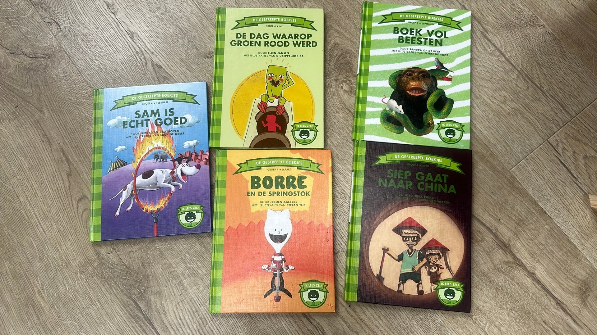 5 Borre boekjes groep 4, Boeken, Ophalen of Verzenden, Zo goed als nieuw, Fictie algemeen