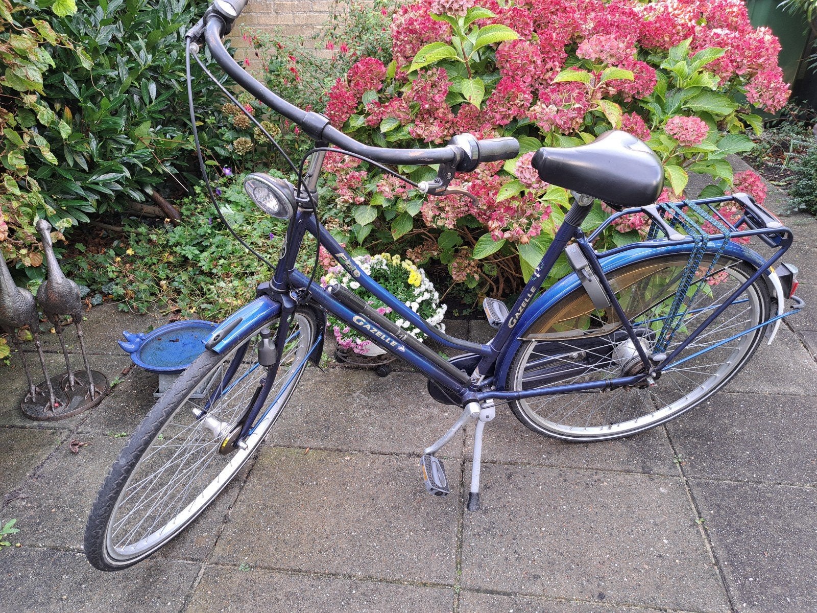 Gazelle Free |  Damesfiets | Blauw, 47 tot 50 cm, Ophalen, Gebruikt, Gazelle