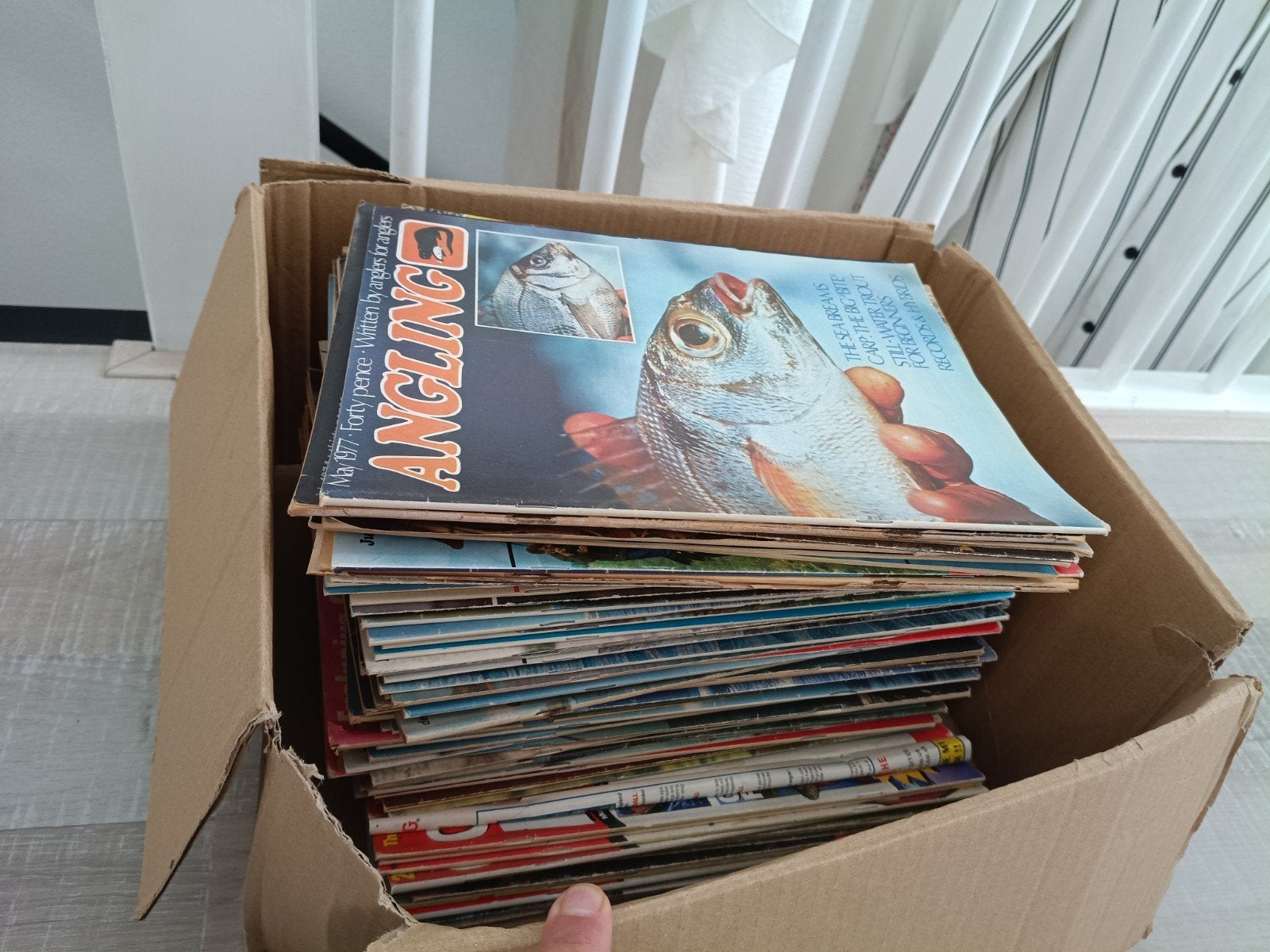 FREE - Lots of fishing papers English, Ophalen, Gebruikt, Boek of Tijdschrift