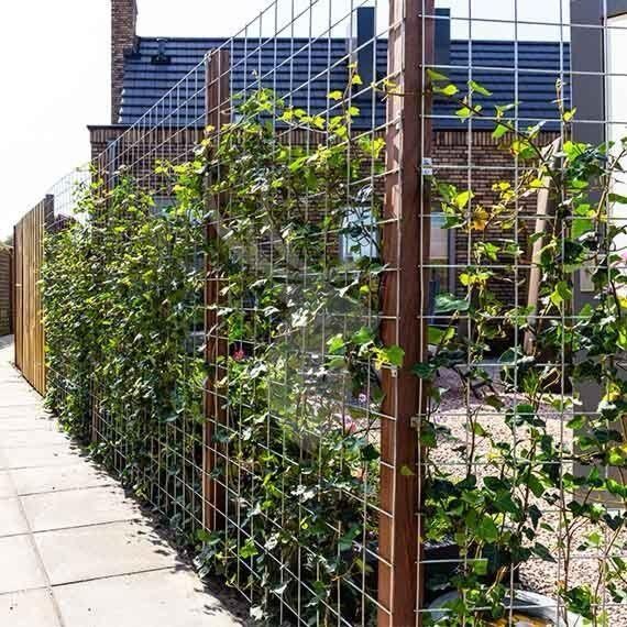 Gaaspaneel 180x180 5x5 vanaf 10 stuks € 29,90 per stuk, Tuin en Terras, Tuinhekken en Hekwerk, Ophalen, IJzer, Tuinhek