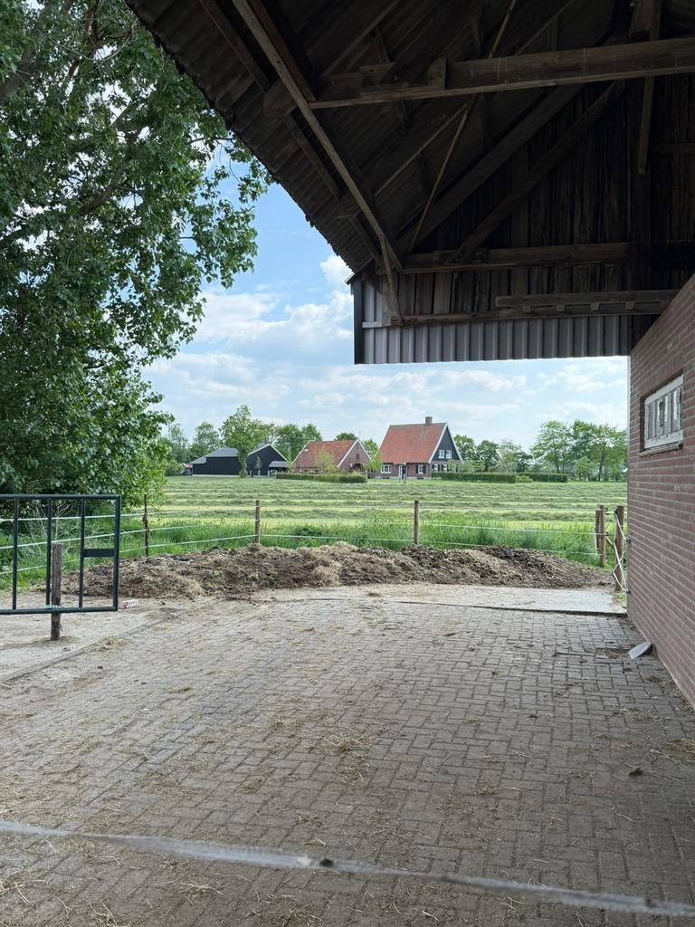 Gratis paardenmest, Ophalen, Mest
