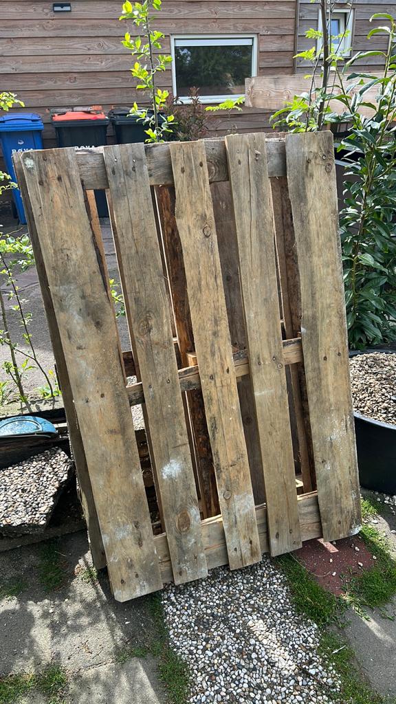 Pallet 2x gratis, Doe-het-zelf en Verbouw, Ophalen, 100 cm of meer, 60 cm of meer, Overige typen