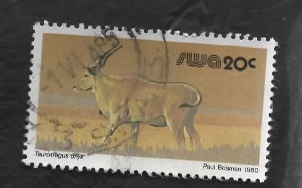 Fauna - Dieren - Eland Antilope  - S.W.A. -20c - gebr, Verzenden, Gestempeld, Dier of Natuur