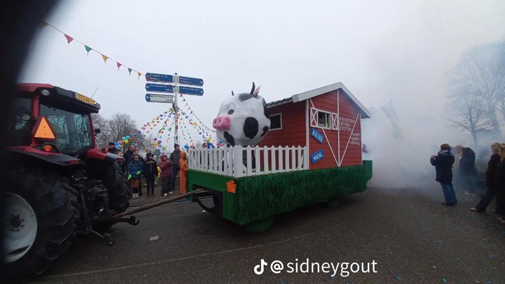 Carnavalswagen Boerderij, Ophalen, Gebruikt, Carnaval