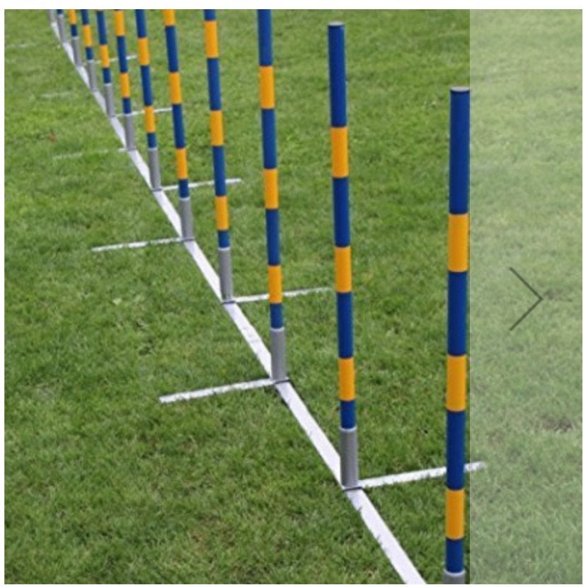 Agility paaltjes / Slalom topmast 12 palen nieuw in doos, Dieren en Toebehoren, Topmast, Ophalen, Nieuw