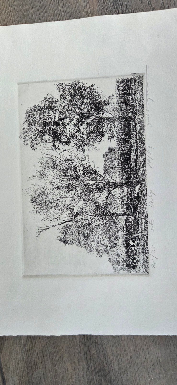 Ets 28/30 van Ad Kooijmans. Landschap Velp., Antiek en Kunst, Kunst | Schilderijen | Klassiek, Ophalen of Verzenden