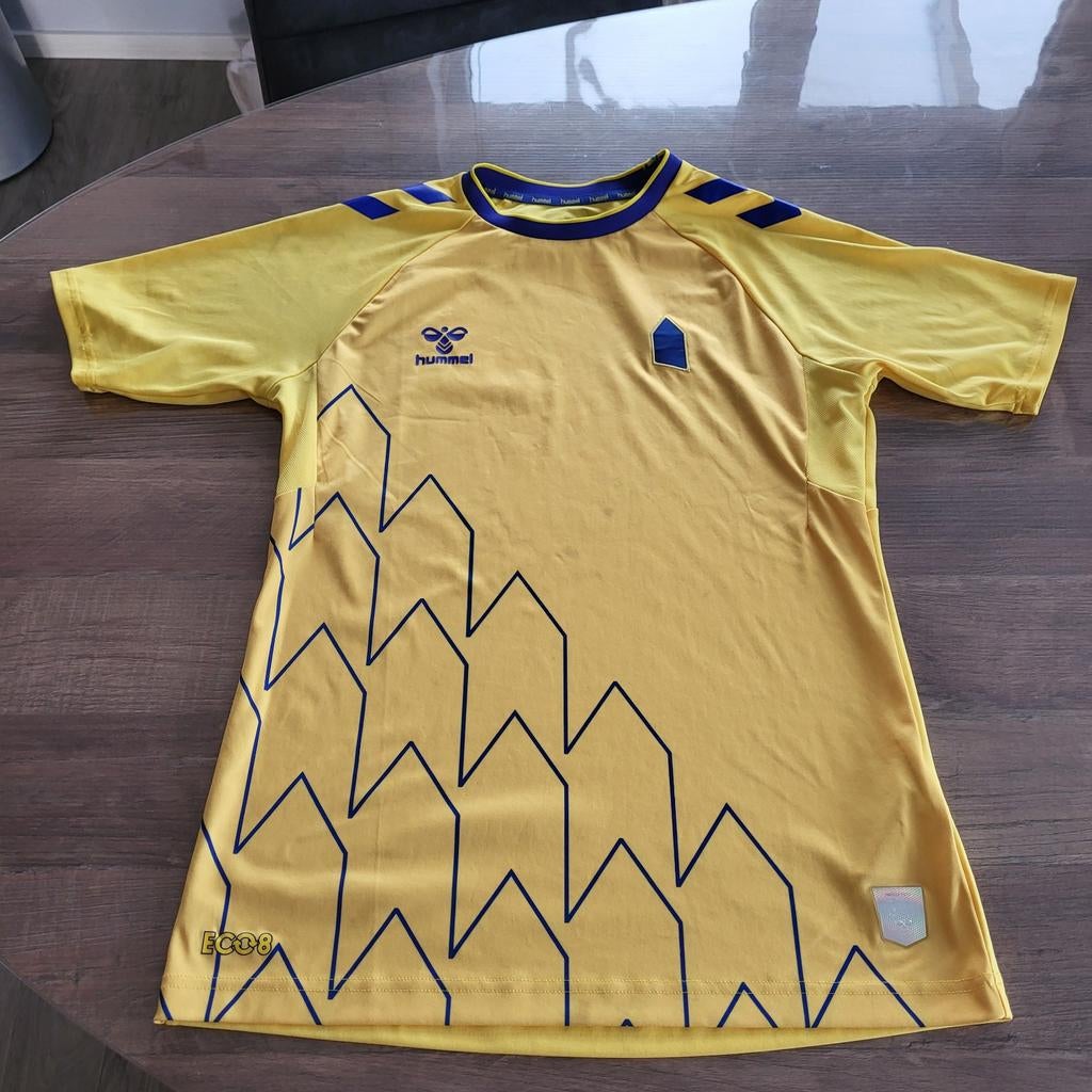 Shirt van Everton, maat S., Sport en Fitness, Maat S, Ophalen of Verzenden, Gebruikt, Shirt