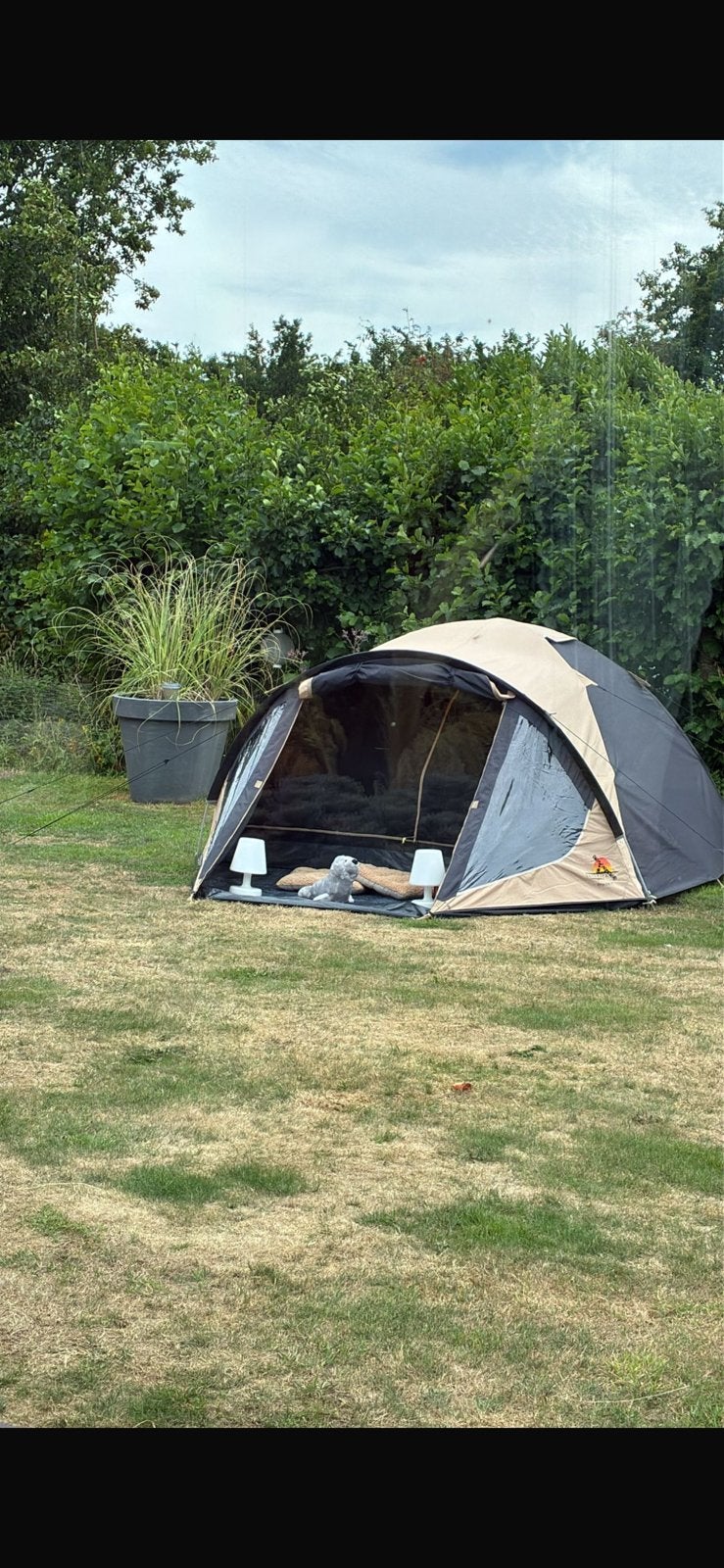 Safarica Kenia 230 TC Tent Incl. Aluminium Stokken, Caravans en Kamperen, Tenten, Ophalen of Verzenden, Zo goed als nieuw, Tot en met 3