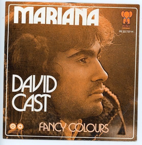 Pink Elephant PE 22.737 van David Cast uit 1973 - stemra, Cd's en Dvd's, Vinyl Singles, Fotohoes, Ophalen of Verzenden, Gebruikt