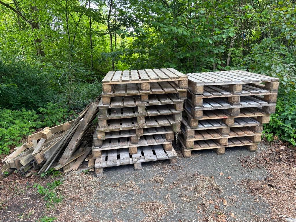 Gratis Pallets en losse stukken hout, Doe-het-zelf en Verbouw, Hout en Planken, Ophalen, Gebruikt, Pallet, Minder dan 200 cm