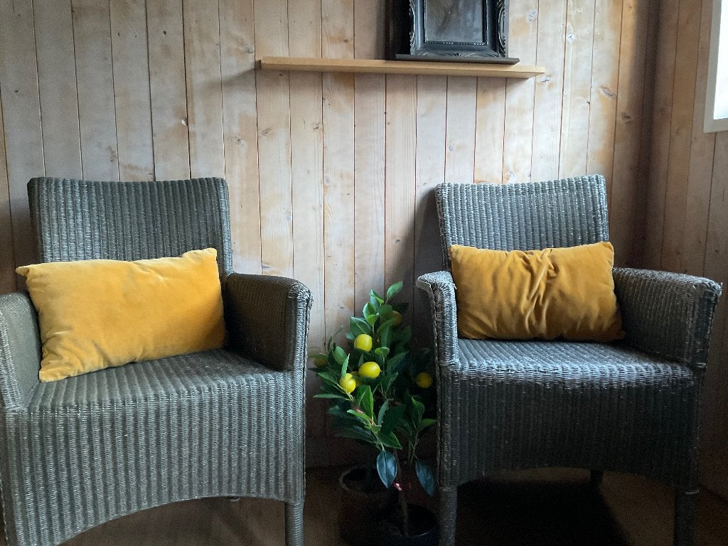 2 vintage stoelen, Ophalen, Gebruikt, Twee, Overige kleuren