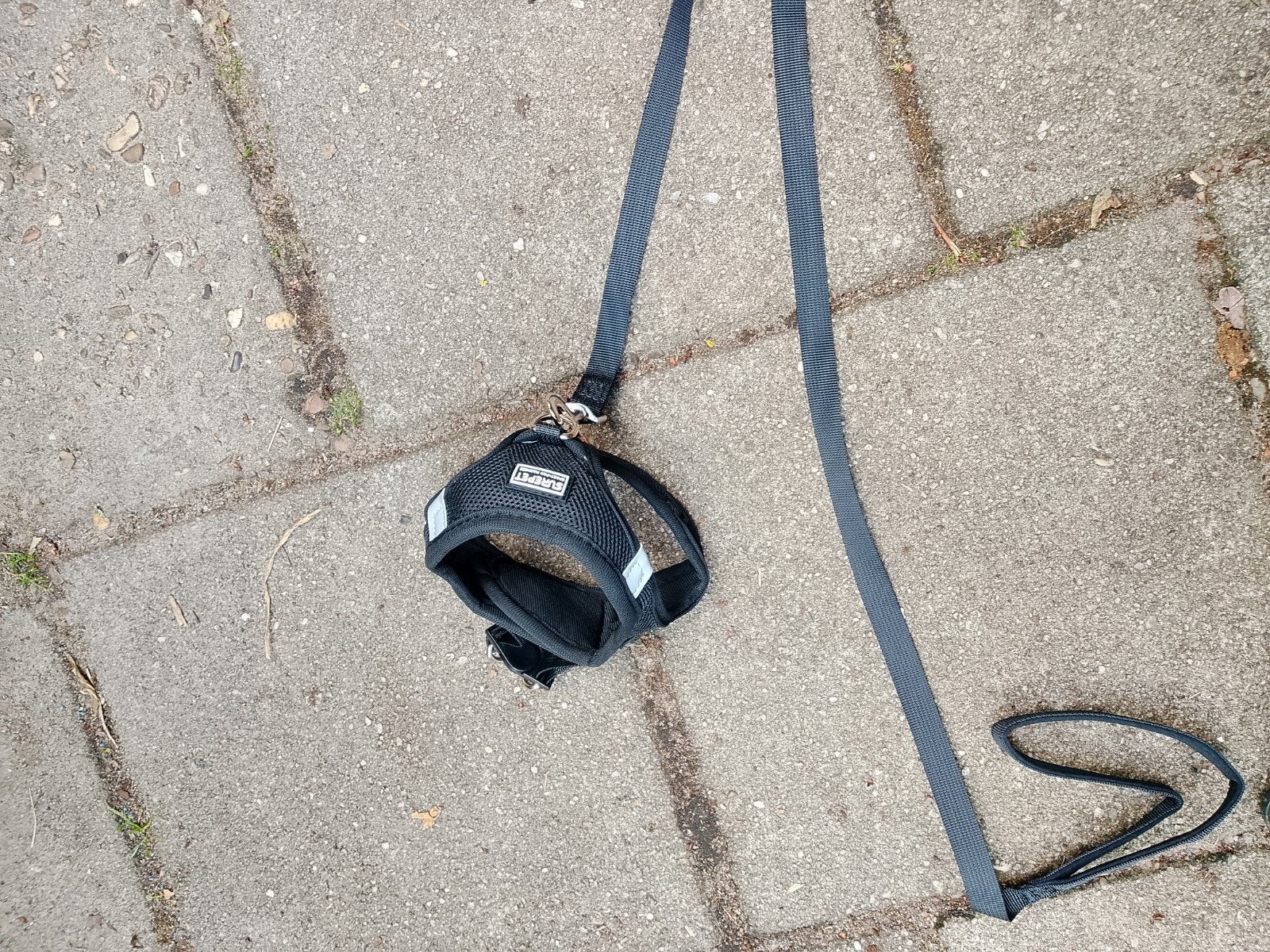 Honden tuigje voor de kleine hond, Ophalen of Verzenden, Nieuw