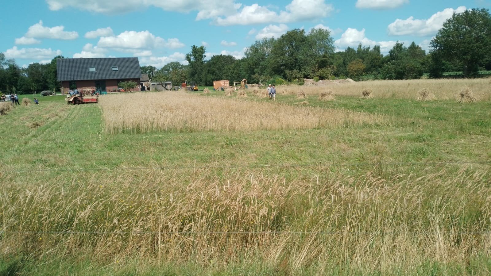 Te  huur gevraagd grasland om te weiden, Dieren en Toebehoren, Stalling en Weidegang