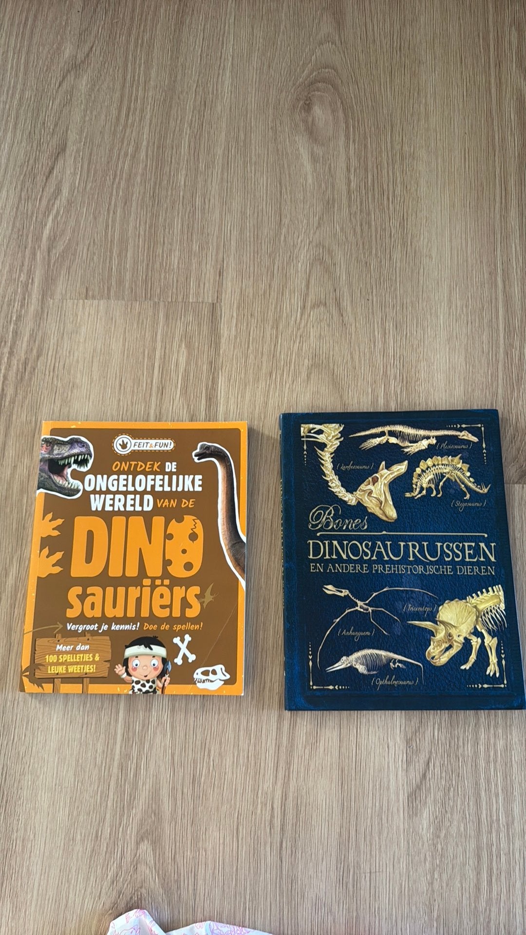 Informatie boeken dinosaurus, Ophalen of Verzenden, Zo goed als nieuw