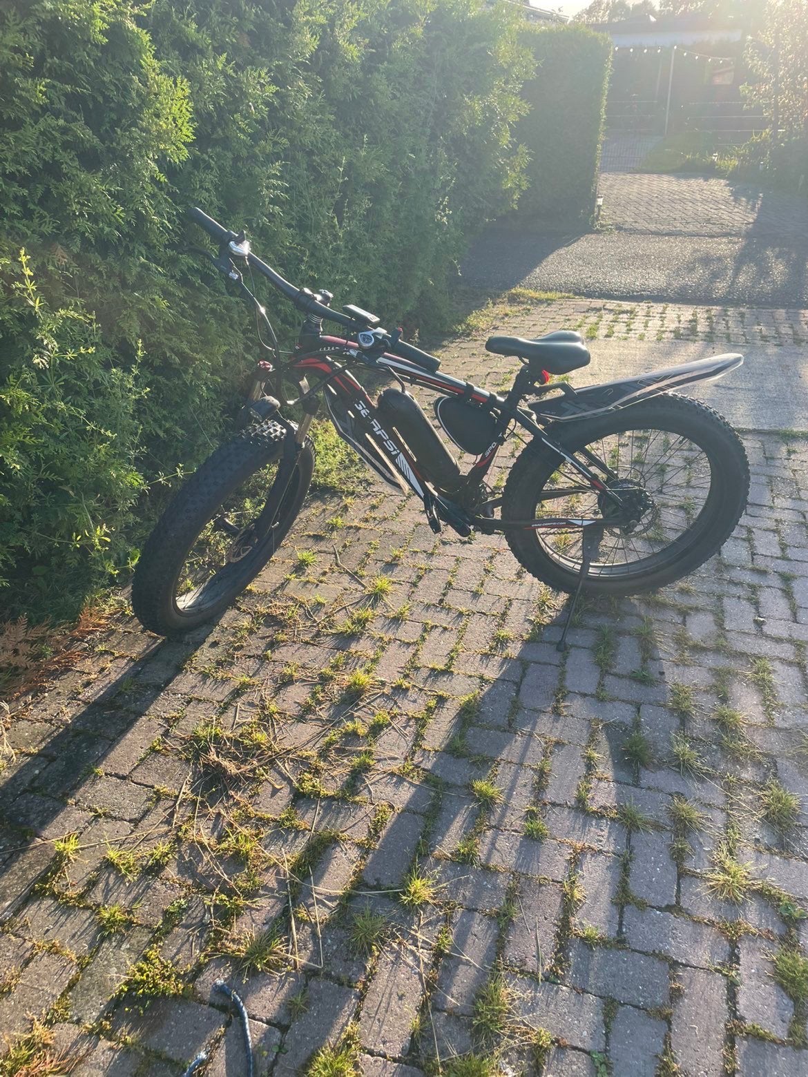 E bike, Fietsen en Brommers, Ophalen, Zo goed als nieuw, Overige merken
